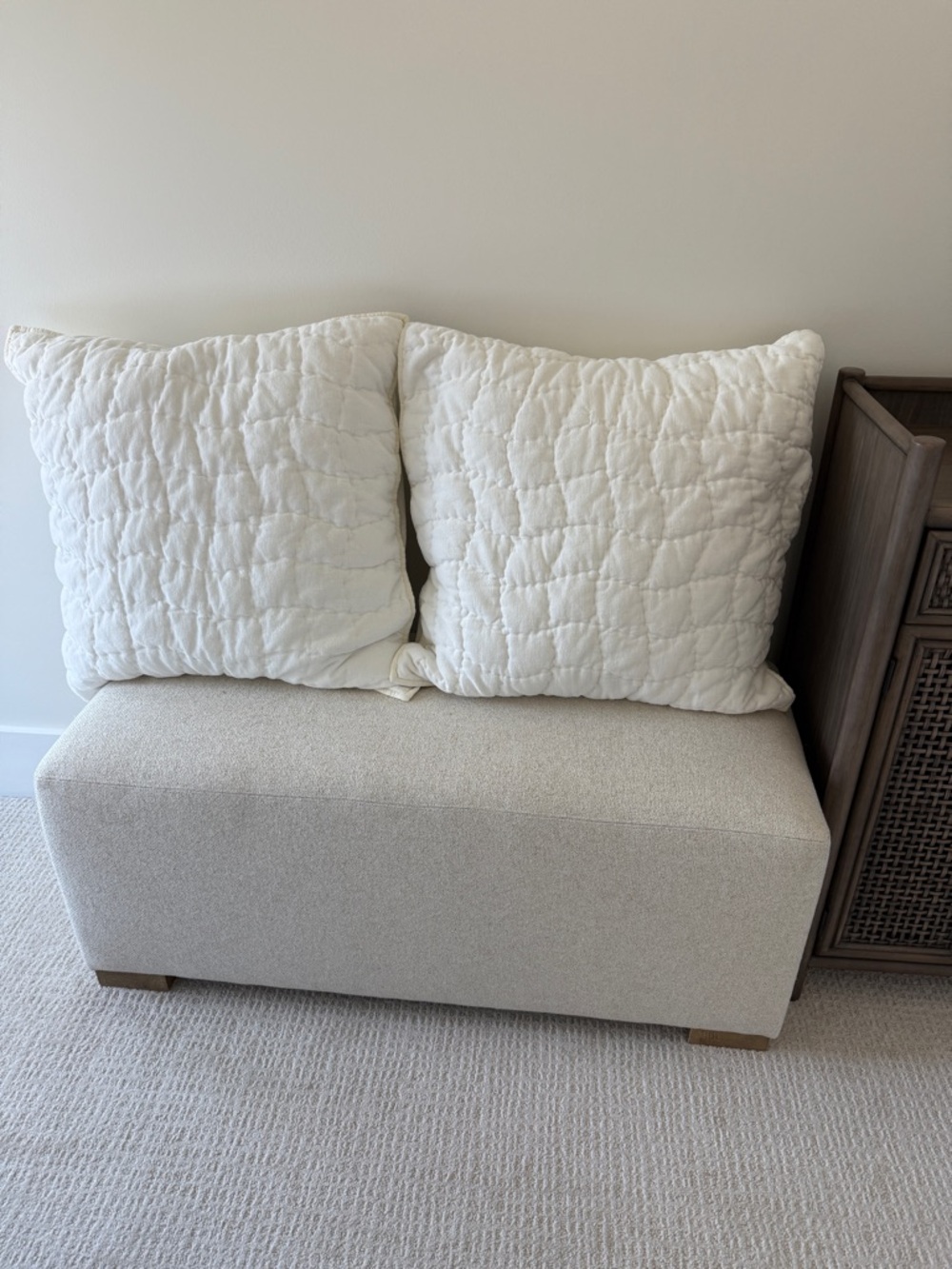 Pottery Barn Cozy Cloud Euro sham, two